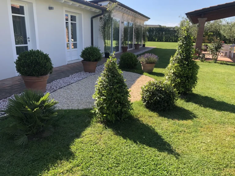 Gravel path, potted boxwood and lavender along the white façade
