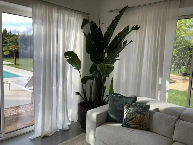 Bird-of-paradise plant and sofa by the glass doors, with the pool and garden outside